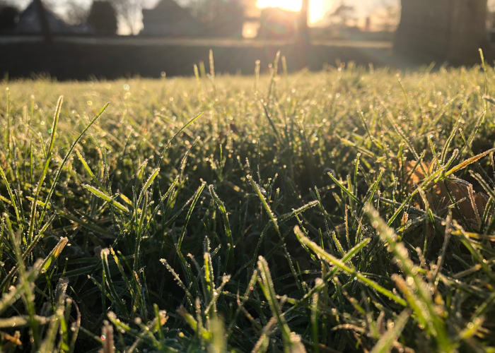 gras onderhoud winter